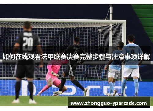 如何在线观看法甲联赛决赛完整步骤与注意事项详解